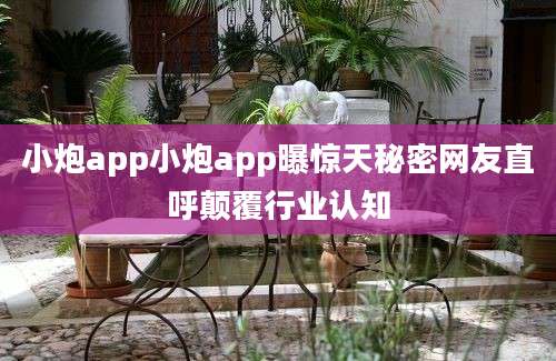 小炮app小炮app曝惊天秘密网友直呼颠覆行业认知