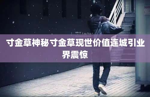 寸金草神秘寸金草现世价值连城引业界震惊