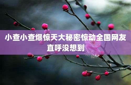 小查小查爆惊天大秘密惊动全国网友直呼没想到