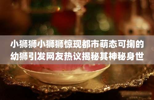 小狮狮小狮狮惊现都市萌态可掬的幼狮引发网友热议揭秘其神秘身世