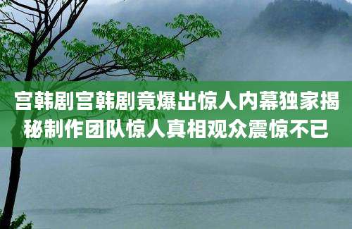 宫韩剧宫韩剧竟爆出惊人内幕独家揭秘制作团队惊人真相观众震惊不已