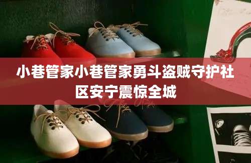 小巷管家小巷管家勇斗盗贼守护社区安宁震惊全城
