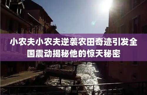 小农夫小农夫逆袭农田奇迹引发全国震动揭秘他的惊天秘密