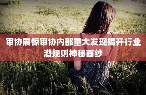 审协震惊审协内部重大发现揭开行业潜规则神秘面纱