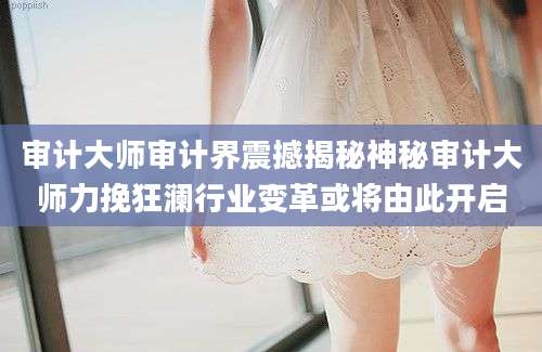 审计大师审计界震撼揭秘神秘审计大师力挽狂澜行业变革或将由此开启
