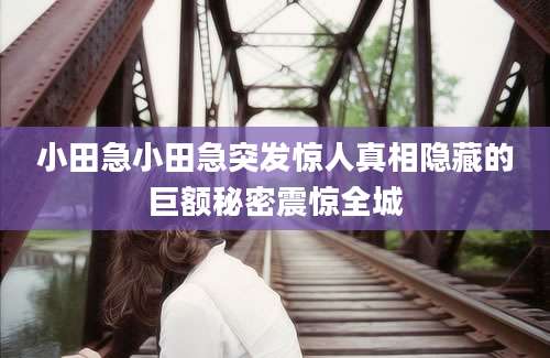 小田急小田急突发惊人真相隐藏的巨额秘密震惊全城