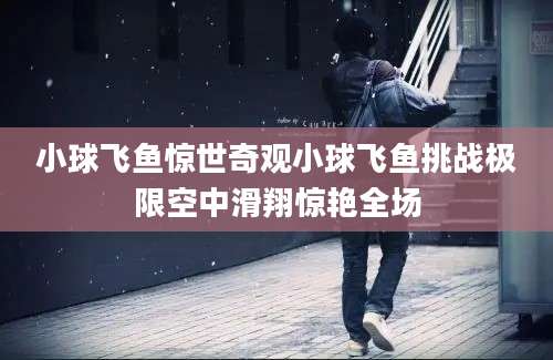 小球飞鱼惊世奇观小球飞鱼挑战极限空中滑翔惊艳全场