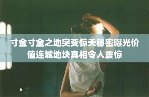 寸金寸金之地突变惊天秘密曝光价值连城地块真相令人震惊