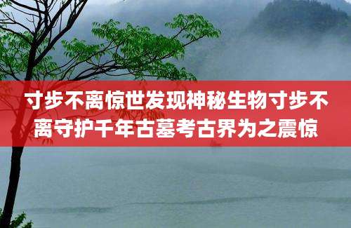 寸步不离惊世发现神秘生物寸步不离守护千年古墓考古界为之震惊