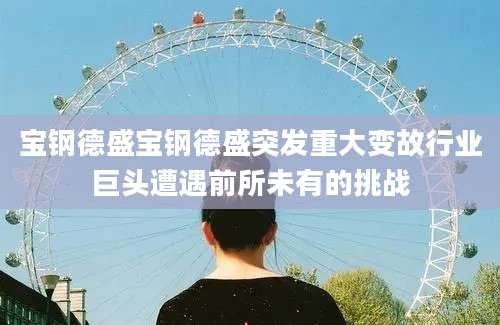 宝钢德盛宝钢德盛突发重大变故行业巨头遭遇前所未有的挑战