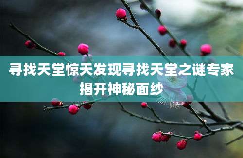 寻找天堂惊天发现寻找天堂之谜专家揭开神秘面纱