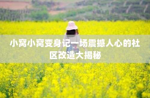 小窝小窝变身记一场震撼人心的社区改造大揭秘