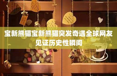 宝新熊猫宝新熊猫突发奇遇全球网友见证历史性瞬间
