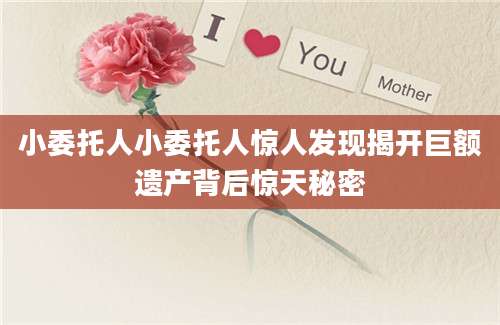 小委托人小委托人惊人发现揭开巨额遗产背后惊天秘密