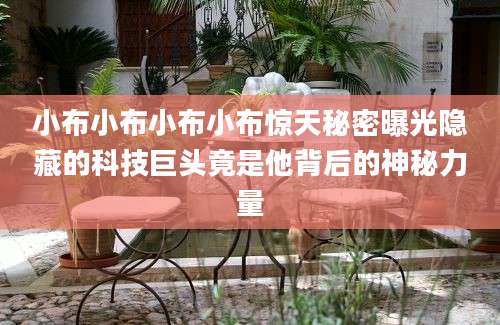 小布小布小布小布惊天秘密曝光隐藏的科技巨头竟是他背后的神秘力量