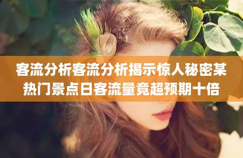 客流分析客流分析揭示惊人秘密某热门景点日客流量竟超预期十倍