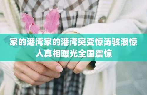 家的港湾家的港湾突变惊涛骇浪惊人真相曝光全国震惊