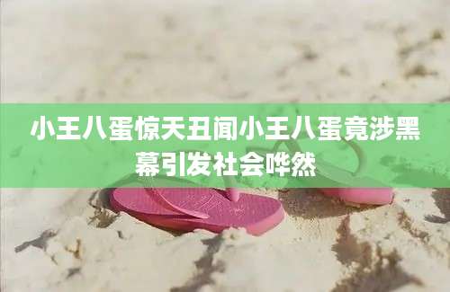 小王八蛋惊天丑闻小王八蛋竟涉黑幕引发社会哗然