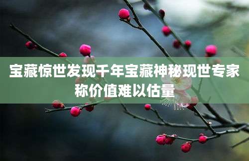 宝藏惊世发现千年宝藏神秘现世专家称价值难以估量