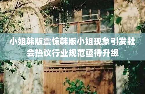 小姐韩版震惊韩版小姐现象引发社会热议行业规范亟待升级