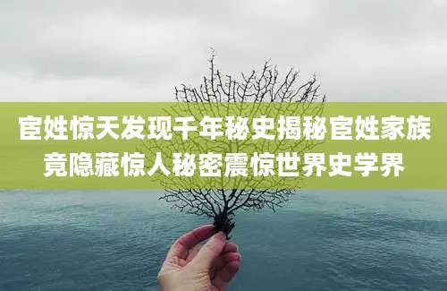 宦姓惊天发现千年秘史揭秘宦姓家族竟隐藏惊人秘密震惊世界史学界