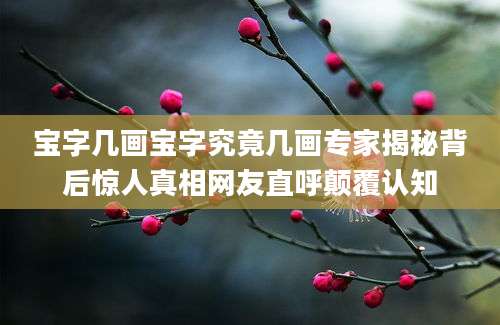宝字几画宝字究竟几画专家揭秘背后惊人真相网友直呼颠覆认知