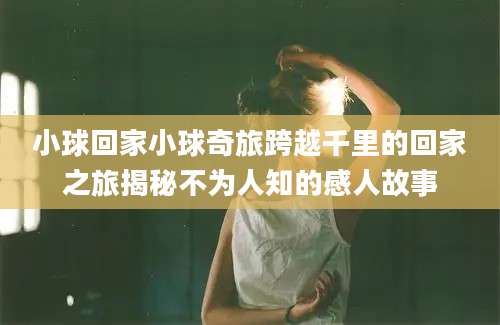 小球回家小球奇旅跨越千里的回家之旅揭秘不为人知的感人故事