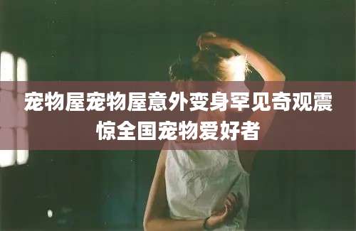 宠物屋宠物屋意外变身罕见奇观震惊全国宠物爱好者