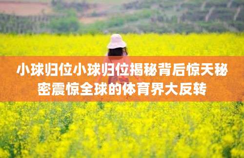小球归位小球归位揭秘背后惊天秘密震惊全球的体育界大反转
