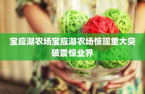 宝应湖农场宝应湖农场惊现重大突破震惊业界