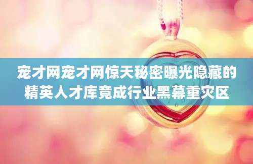 宠才网宠才网惊天秘密曝光隐藏的精英人才库竟成行业黑幕重灾区