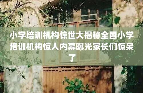 小学培训机构惊世大揭秘全国小学培训机构惊人内幕曝光家长们惊呆了