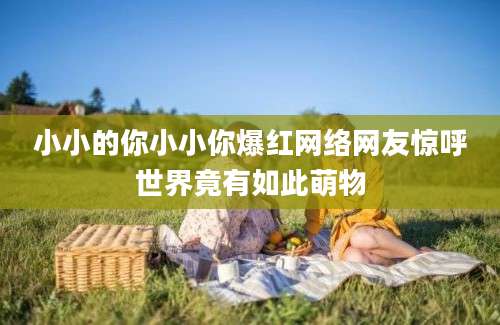 小小的你小小你爆红网络网友惊呼世界竟有如此萌物