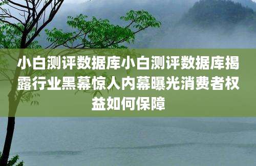 小白测评数据库小白测评数据库揭露行业黑幕惊人内幕曝光消费者权益如何保障