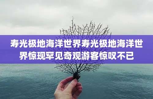 寿光极地海洋世界寿光极地海洋世界惊现罕见奇观游客惊叹不已