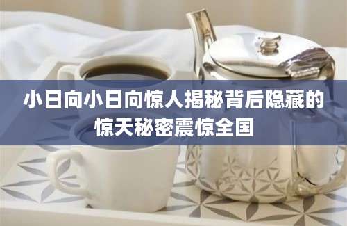 小日向小日向惊人揭秘背后隐藏的惊天秘密震惊全国
