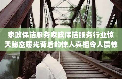 家政保洁服务家政保洁服务行业惊天秘密曝光背后的惊人真相令人震惊