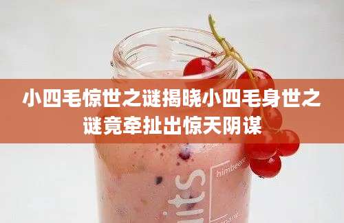 小四毛惊世之谜揭晓小四毛身世之谜竟牵扯出惊天阴谋