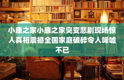 小康之家小康之家突变悲剧现场惊人真相震撼全国家庭破碎令人唏嘘不已