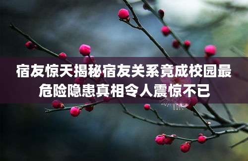 宿友惊天揭秘宿友关系竟成校园最危险隐患真相令人震惊不已