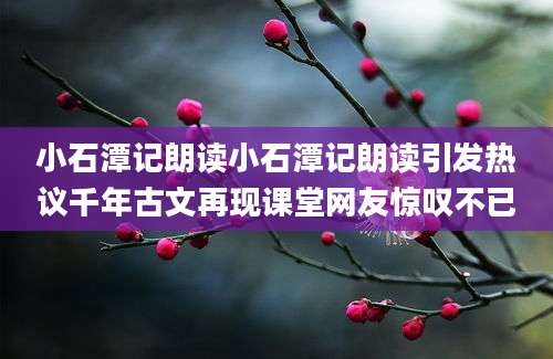 小石潭记朗读小石潭记朗读引发热议千年古文再现课堂网友惊叹不已