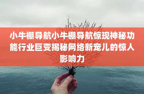 小牛棚导航小牛棚导航惊现神秘功能行业巨变揭秘网络新宠儿的惊人影响力