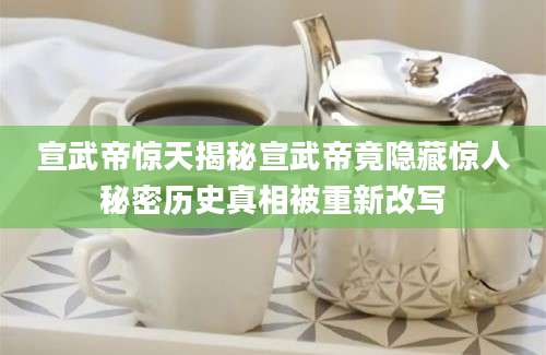 宣武帝惊天揭秘宣武帝竟隐藏惊人秘密历史真相被重新改写