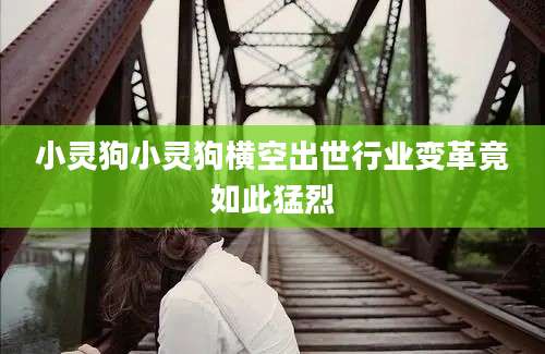 小灵狗小灵狗横空出世行业变革竟如此猛烈