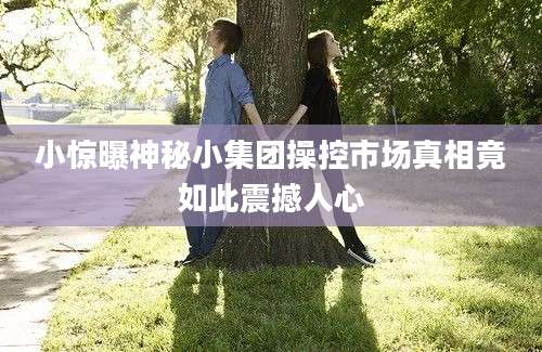 小惊曝神秘小集团操控市场真相竟如此震撼人心