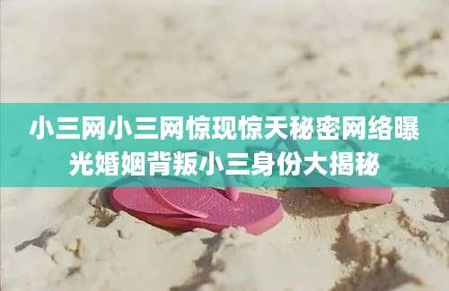 小三网小三网惊现惊天秘密网络曝光婚姻背叛小三身份大揭秘