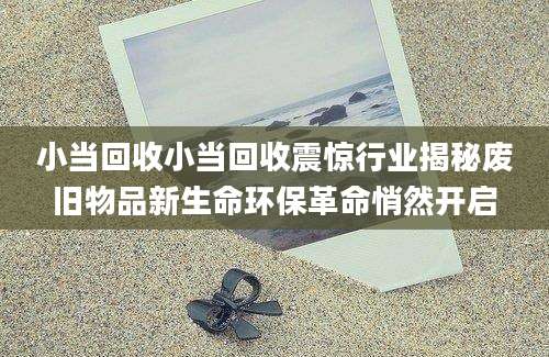 小当回收小当回收震惊行业揭秘废旧物品新生命环保革命悄然开启