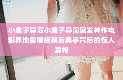 小盒子导演小盒子导演突发神作电影界地震揭秘幕后黑手背后的惊人真相
