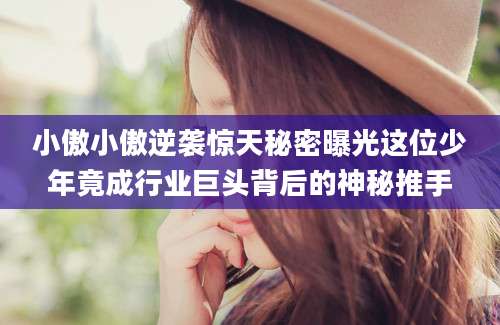 小傲小傲逆袭惊天秘密曝光这位少年竟成行业巨头背后的神秘推手