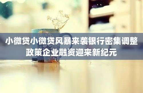 小微贷小微贷风暴来袭银行密集调整政策企业融资迎来新纪元